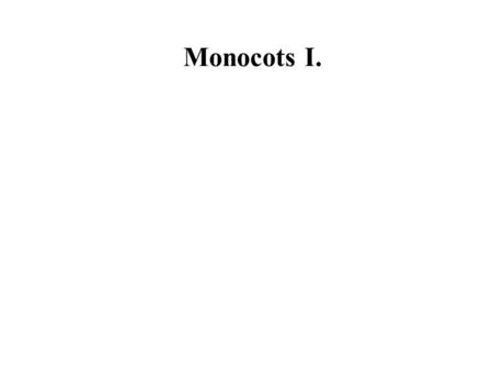 Monocots I..