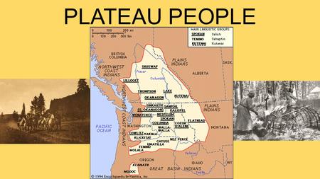 PLATEAU PEOPLE. Lived East of Cascades and West of the Rocky Mountains Land and climate shaped lifestyle Cold snowy winters Hot dry summers Seasonal moves.