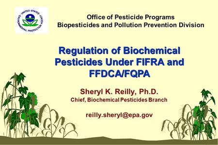 1 Office of Pesticide Programs Biopesticides and Pollution Prevention Division Sheryl K. Reilly, Ph.D. Chief, Biochemical Pesticides Branch