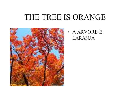 THE TREE IS ORANGE A ÁRVORE É LARANJA. THE TREE IS GREEN A ÁRVORE É VERDE.