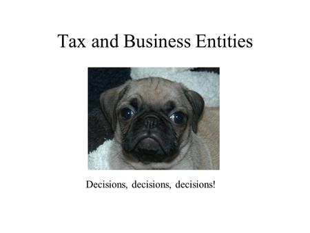 Tax and Business Entities Decisions, decisions, decisions!