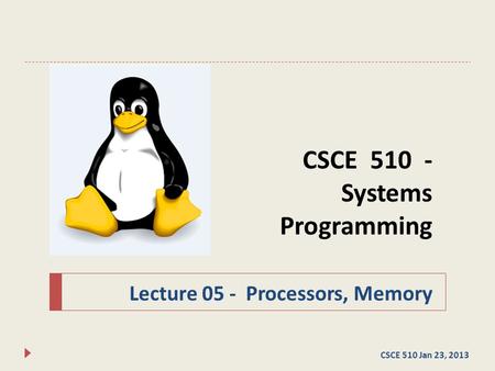 CSCE 510 - Systems Programming Lecture 05 - Processors, Memory CSCE 510 Jan 23, 2013.