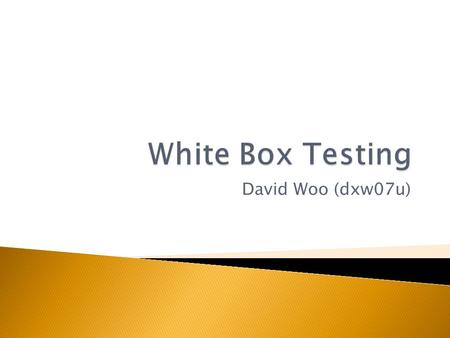 David Woo (dxw07u).  What is “White Box Testing”  Data Processing and Calculation Correctness Tests  Correctness Tests:  Path Coverage  Line Coverage.