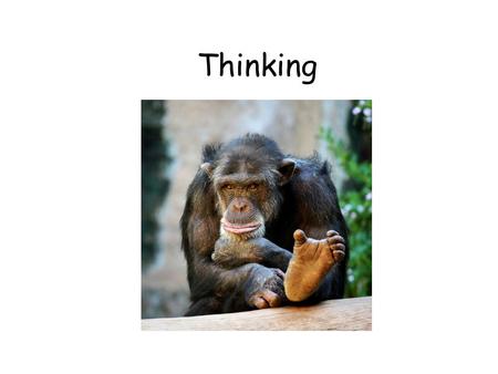 Thinking. What is thought? There are basically two types of thought… 1.Concepts (schemas)…usually based on prototypes. 2.Images Our concept of men may.