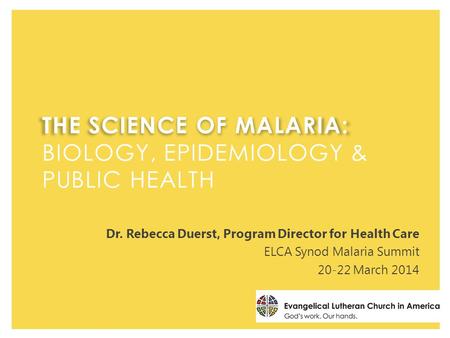 Dr. Rebecca Duerst, Program Director for Health Care ELCA Synod Malaria Summit 20-22 March 2014.