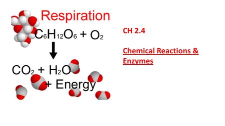 CH 2.4 Chemical Reactions & Enzymes.