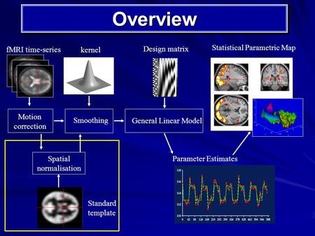 OverviewOverview Motion correction Smoothing kernel Spatial normalisation Standard template fMRI time-series Statistical Parametric Map General Linear.