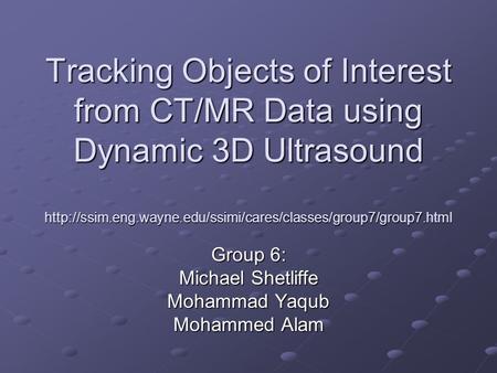 Tracking Objects of Interest from CT/MR Data using Dynamic 3D Ultrasound  Group 6: Michael.