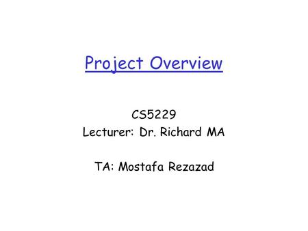 Project Overview CS5229 Lecturer: Dr. Richard MA TA: Mostafa Rezazad.