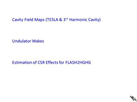 Cavity Field Maps (TESLA & 3 rd Harmonic Cavity) Undulator Wakes Estimation of CSR Effects for FLASH2HGHG.