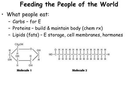 Feeding the People of the World What people eat: –Carbs – for E –Proteins – build & maintain body (chem rx) –Lipids (fats) – E storage, cell membranes,