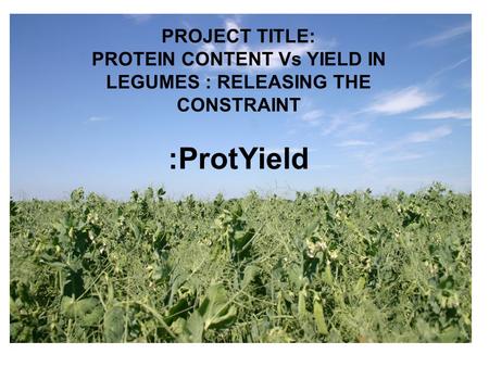 :ProtYield PROJECT TITLE: PROTEIN CONTENT Vs YIELD IN LEGUMES : RELEASING THE CONSTRAINT.