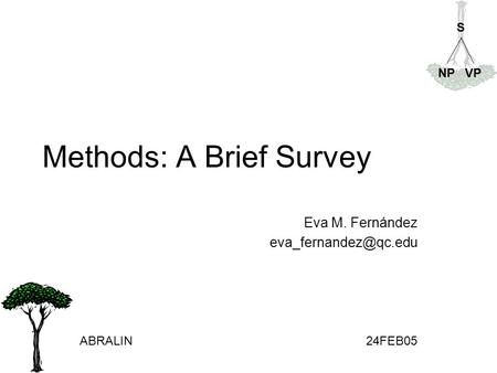 Methods: A Brief Survey Eva M. Fernández ABRALIN24FEB05 S NPVP.