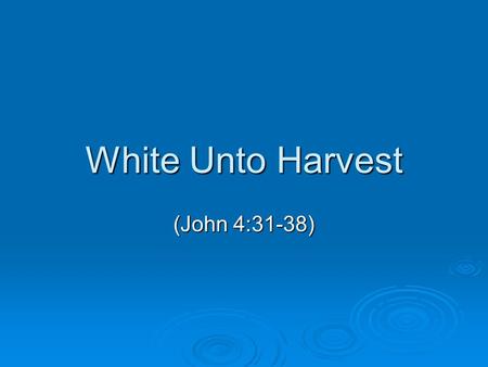 White Unto Harvest (John 4:31-38). Evangelism  Our fundamental task World not too wicked (Genesis 6, 7) World not too wicked (Genesis 6, 7) Gospel thrives.
