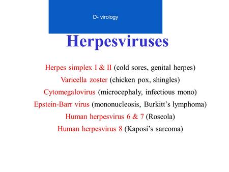 Herpesviruses Herpes simplex I & II (cold sores, genital herpes)