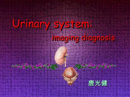 Urinary system: imaging diagnosis