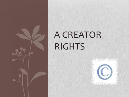 A CREATOR RIGHTS. What is something you’ve made that your are proud of? Music or songs Poem or story Photo or video.