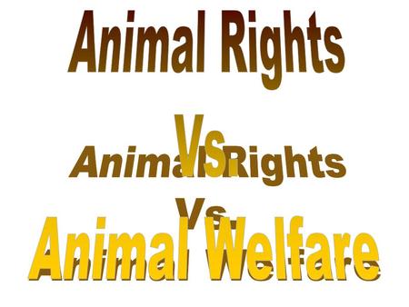 Animal Welfare: belief that animals should be treated humanely. This includes proper housing, nutrition, disease prevention and treatment, responsible.