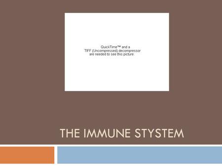 The Immune Stystem.