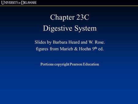 Chapter 23C Digestive System Slides by Barbara Heard and W. Rose.