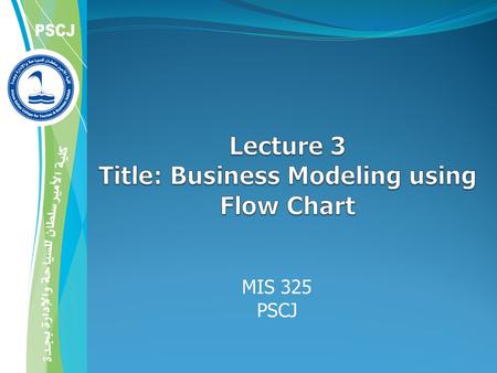 MIS 325 PSCJ. 2  Business processes can be quite complex  Process model: any abstract representation of a process  Process-modeling tools provide a.