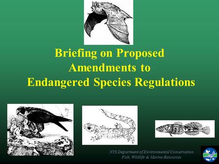 NYS Department of Environmental Conservation Fish, Wildlife & Marine Resources Briefing on Proposed Amendments to Endangered Species Regulations.