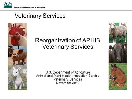 Reorganization of APHIS Veterinary Services U.S. Department of Agriculture Animal and Plant Health Inspection Service Veterinary Services November 2013.