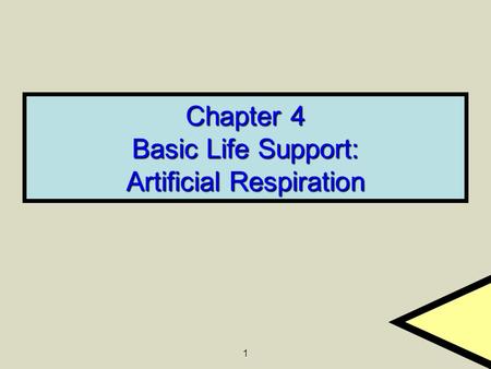 Chapter 4 Basic Life Support: Artificial Respiration