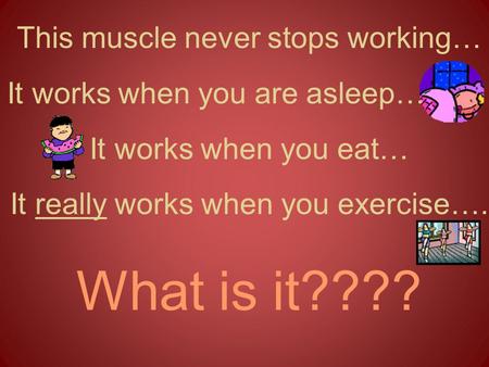 What is it???? This muscle never stops working…