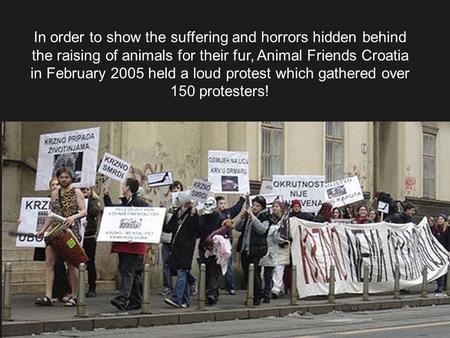 In order to show the suffering and horrors hidden behind the raising of animals for their fur, Animal Friends Croatia in February 2005 held a loud protest.