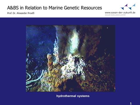 1 A&BS in Relation to Marine Genetic Resources Prof. Dr. Alexander Proelß hydrothermal systems.