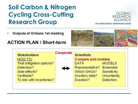 Soil Carbon & Nitrogen Cycling Cross-Cutting Research Group Outputs of Orléans 1st meeting ACTION PLAN / Short-term.