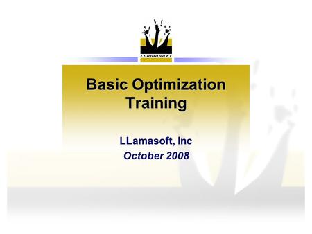 Basic Optimization Training