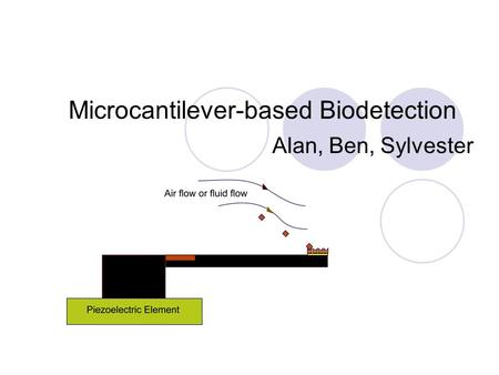 Microcantilever-based Biodetection Alan, Ben, Sylvester.