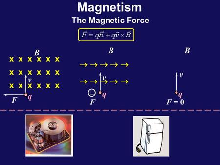 Magnetism The Magnetic Force x x x v F B q  v F B q   v F = 0 B q.