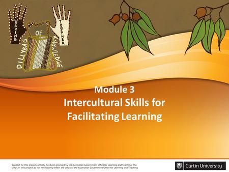 Module 3 Intercultural Skills for Facilitating Learning.