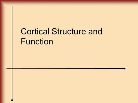 Cortical Structure and Function. FRONTAL LOBE Anatomy of the Frontal Lobes.