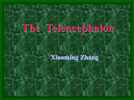 The Telencephalon Xiaoming Zhang. The Telencephalon  External features:  2 Cerebral hemispheres (separated by longitudinal cerebral fissure)  Transverse.