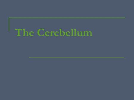 The Cerebellum.