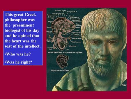 This great Greek philosopher was the preeminent biologist of his day and he opined that the heart was the seat of the intellect. Who was he? Was he right?