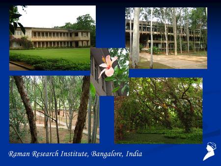 Raman Research Institute, Bangalore, India. Giant radio galaxies of Mpc size are often located in the filamentary large-scale structure of the universe.