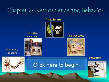 Chapter 2: Neuroscience and Behavior