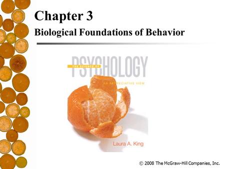 © 2008 The McGraw-Hill Companies, Inc. Chapter 3 Biological Foundations of Behavior.