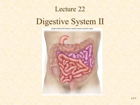Lecture 22 Digestive System II.