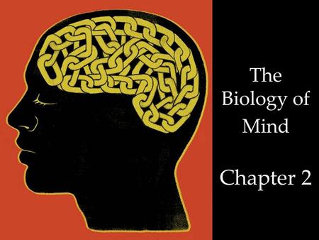 The Biology of Mind Chapter 2