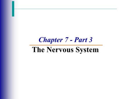 Chapter 7 - Part 3 The Nervous System. The Reflex Arc  Reflex – rapid, predictable, and involuntary responses to stimuli  Much like a one-way street.