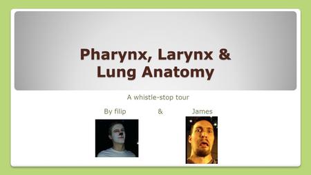 Pharynx, Larynx & Lung Anatomy