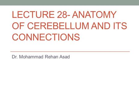 LECTURE 28- ANATOMY OF CEREBELLUM AND ITS CONNECTIONS Dr. Mohammad Rehan Asad.