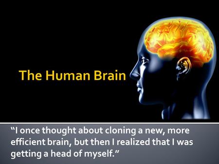 “I once thought about cloning a new, more efficient brain, but then I realized that I was getting a head of myself.”