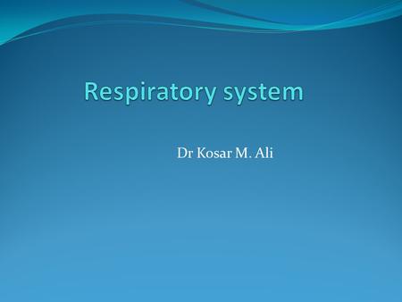 Dr Kosar M. Ali. Introduction The lungs,with their combined alveolar surface area of 140 m², are directly open to the external environment. Thus structural,